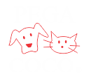 logo_branco