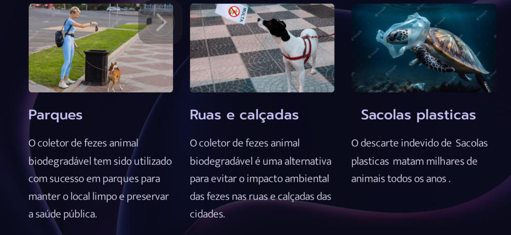 banners e home banners e home